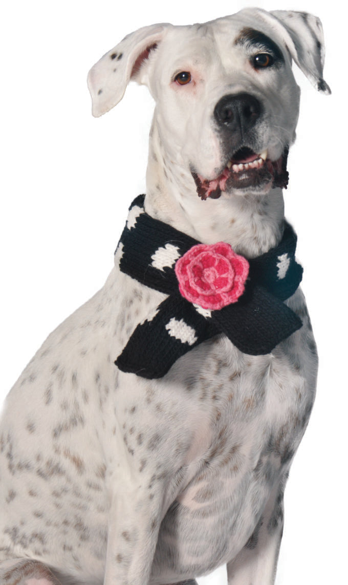 White dog with black spots wearing a black and white polka dot scarf with a pink flower