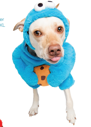 Cookie Monster