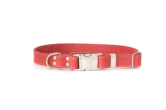 Leather Quick-Release Leash