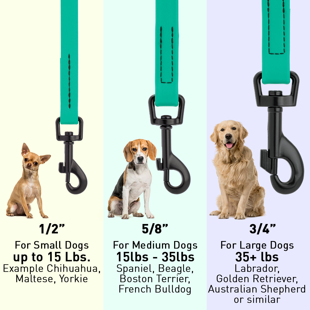 Biothane Waterproof Dog Leash 4 ft