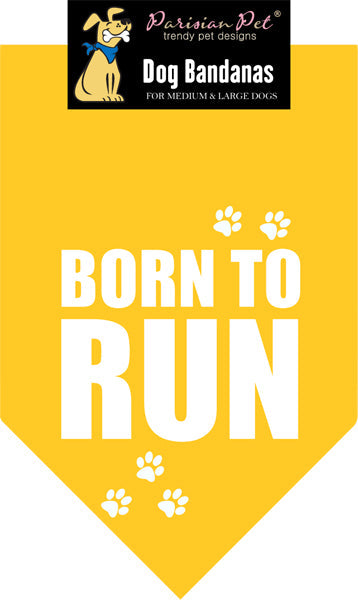 Born To Run Bandana - Original