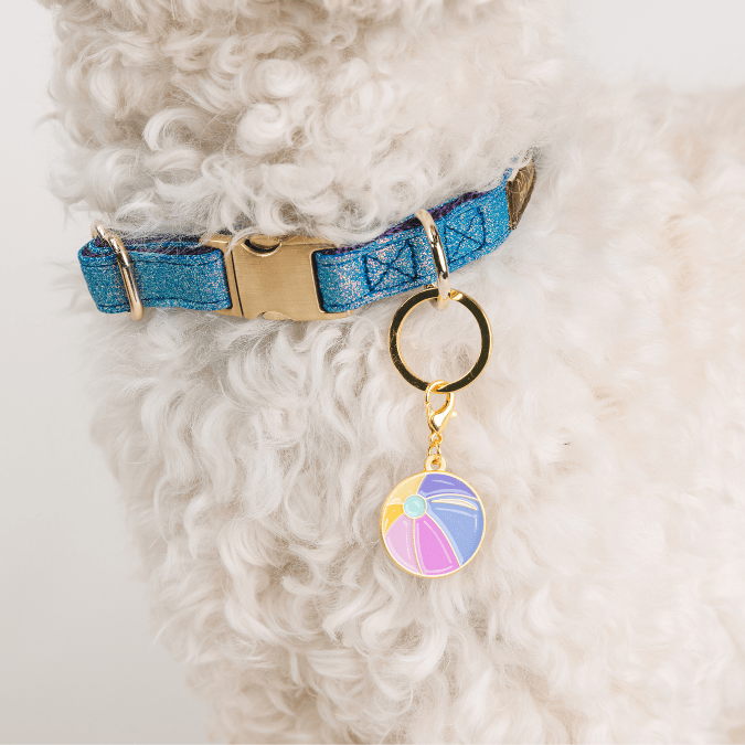 Beach Ball Pet Charm