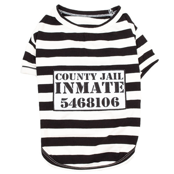 Furry Inmate - Original