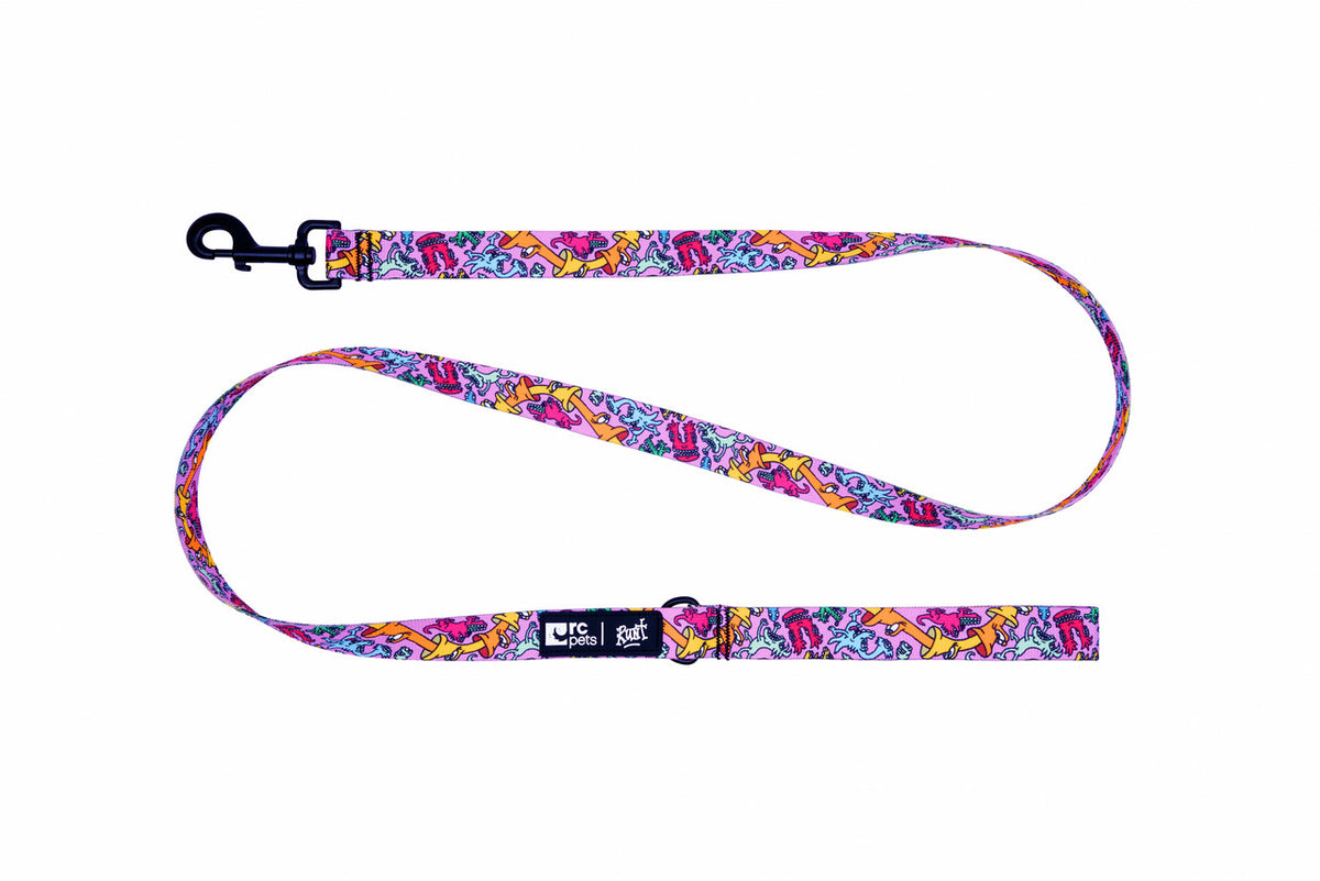RC Pet Products Artist Series Leash - Runt R1