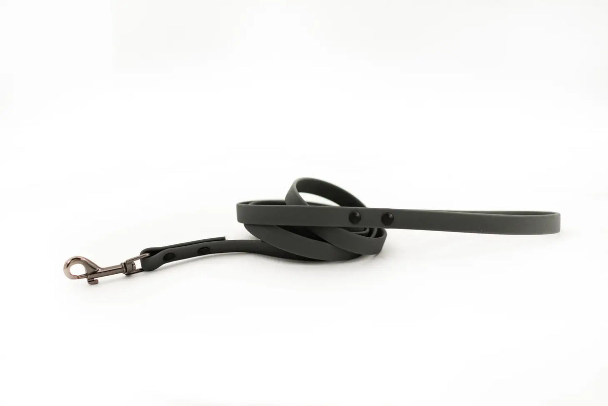 Waterproof Leash