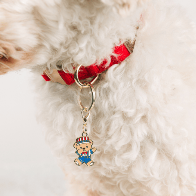 Dabbing American Bear Pet Charm