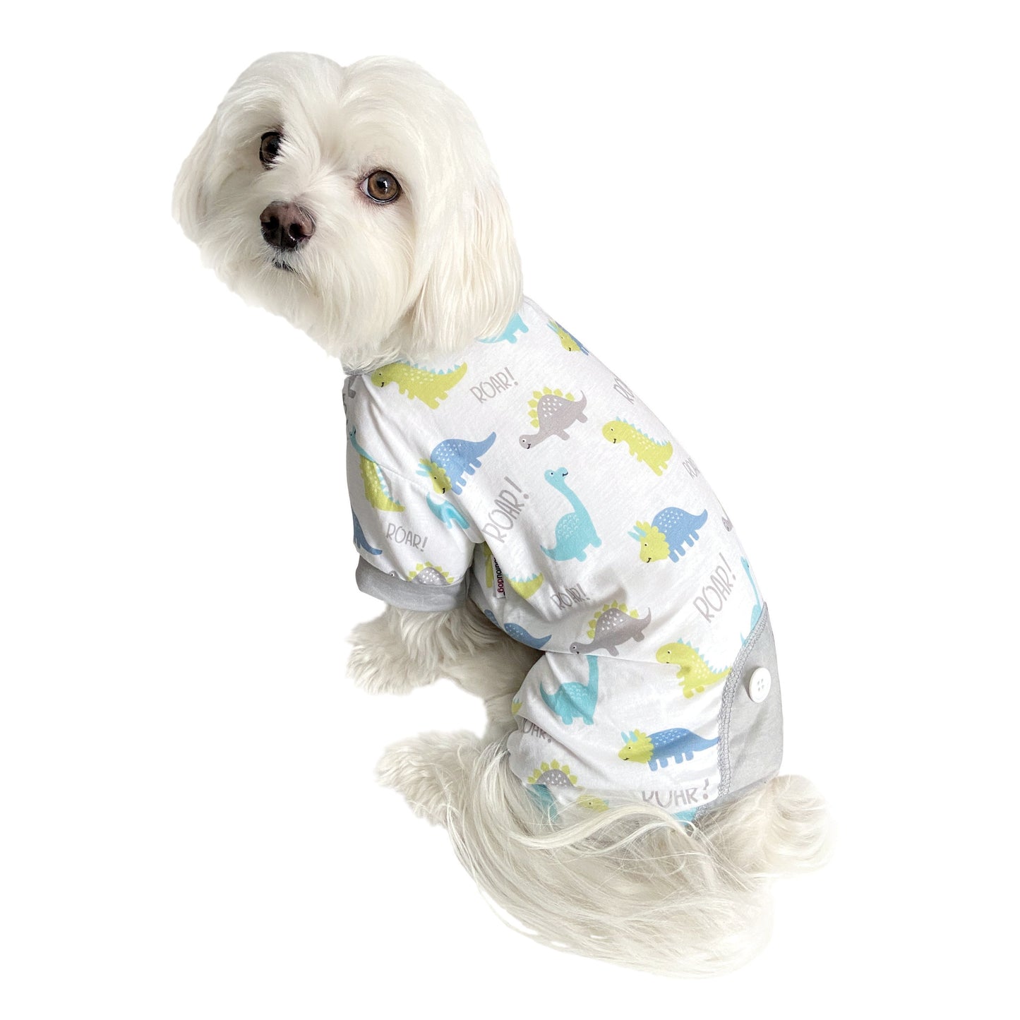 Dino Roar PJ