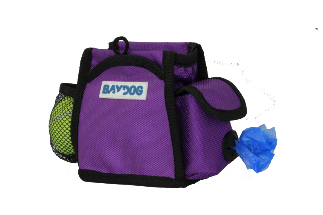 Pack-N-Go Bag