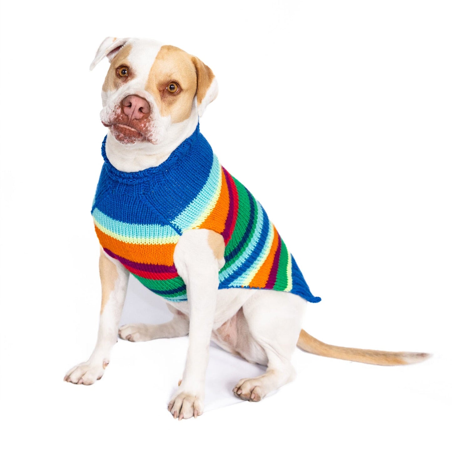 Royal Stripe Alpaca Dog Sweater