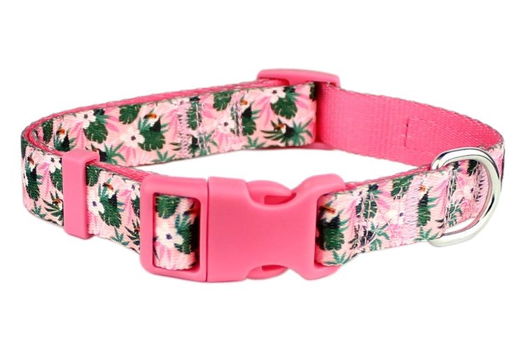 Tropical Toucans Collar - Original