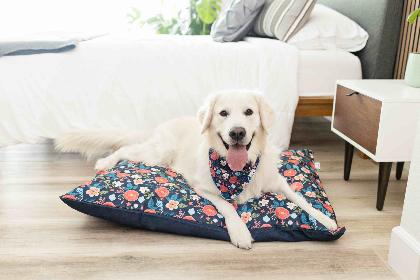 Riley Dog Bandana