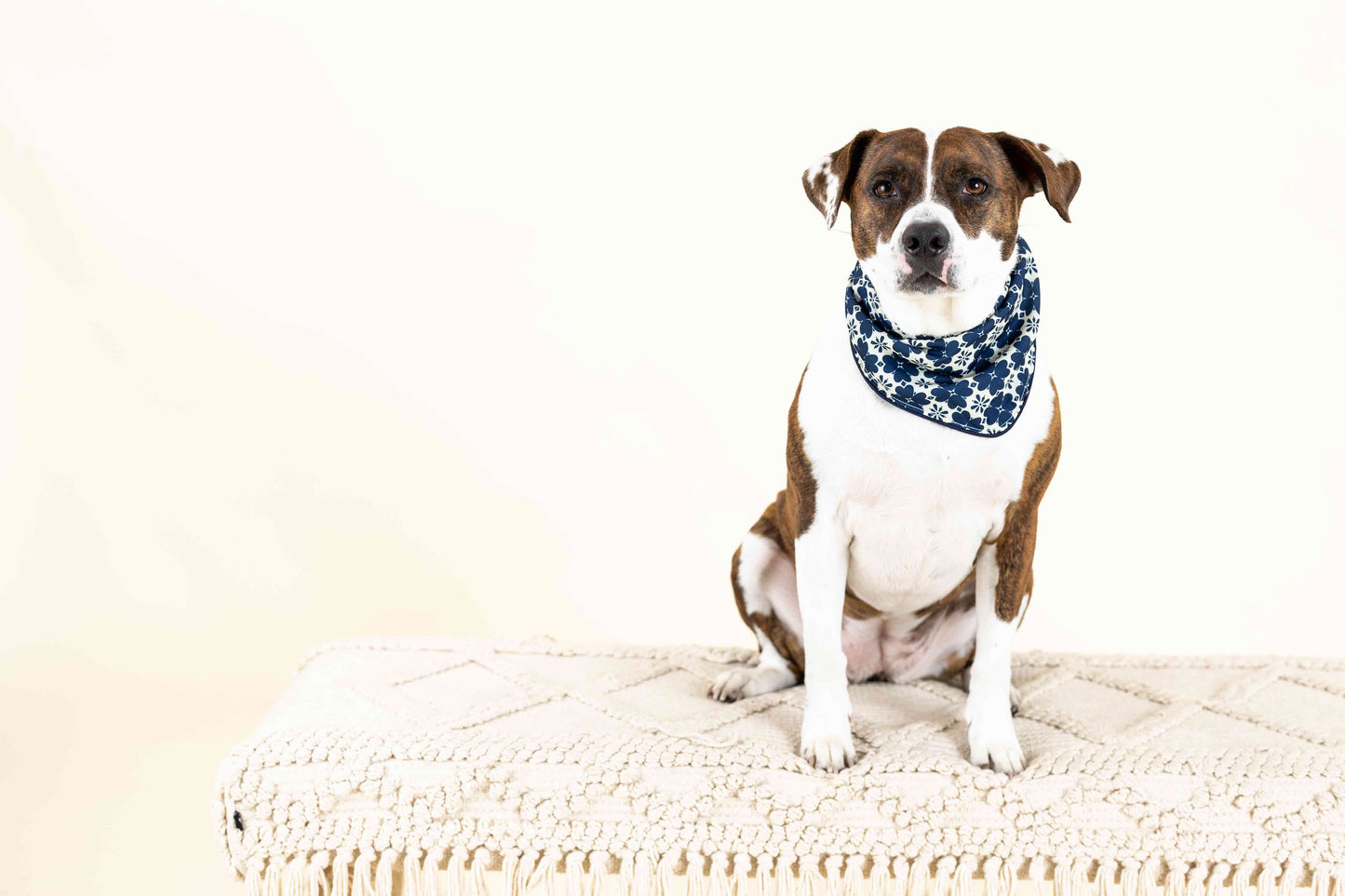 Ryder Dog Bandana