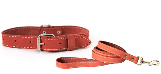 Traditional Leather Collar