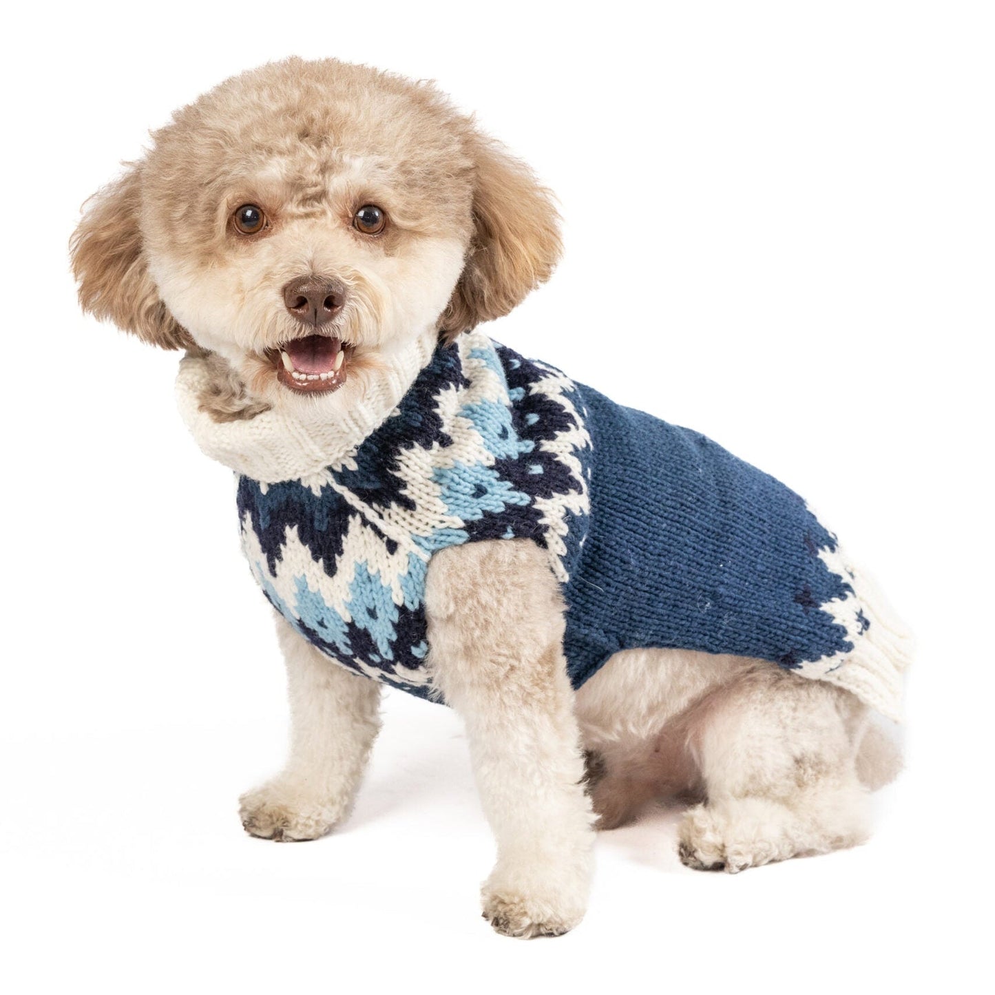 Midnight Ski Bum Dog Sweater