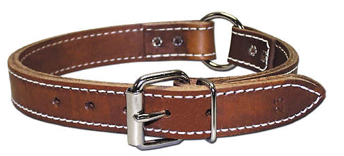 Leather Brothers 2-Ply Leather Ring-In-Center Collar in brown with white stitching and silver buckle