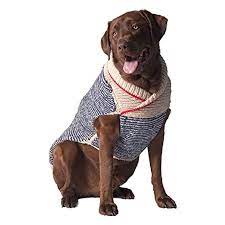 Chocolate Labrador wearing a blue, white, and red striped knitted dog sweater