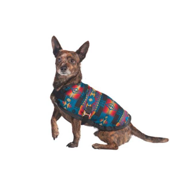 Brown brindle dog wearing a colorful patterned dog coat with a black strap