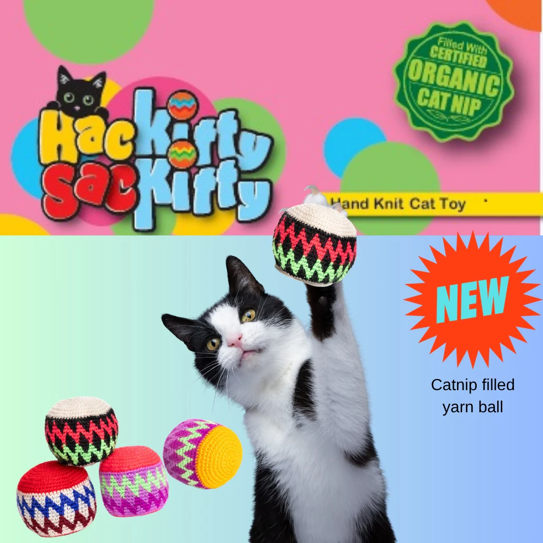 Chilly Dog Hacky Sack Kitty Cat Toys with organic catnip, a black and white cat plays with a yarn ball