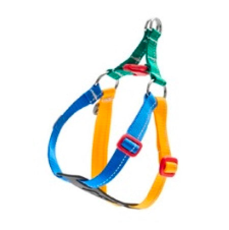 Colorful dog harness with blue, yellow, and green straps and red buckles