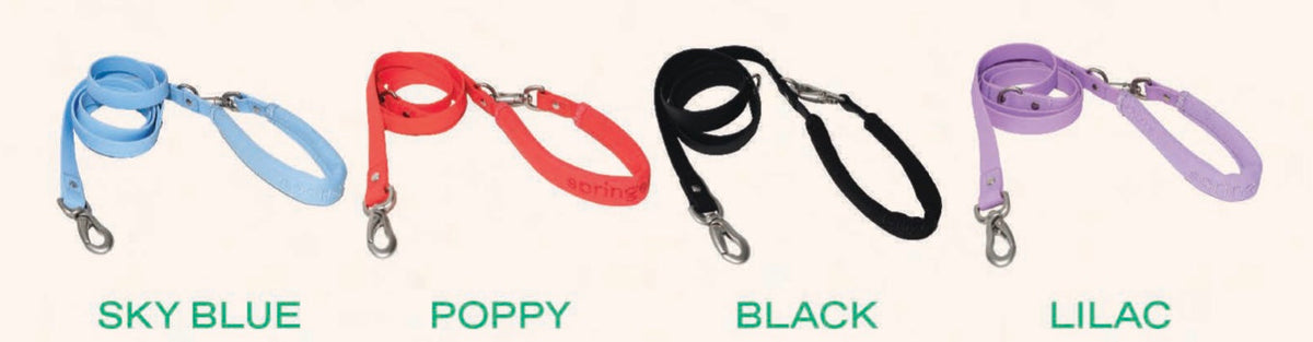 Springer dog leashes in sky blue poppy black and lilac colors