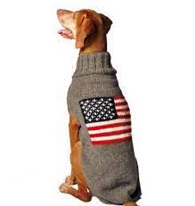 Dog wearing a grey sweater with an American flag design on the back