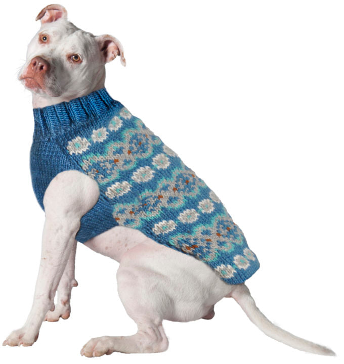 White dog wearing a blue knitted sweater with a patterned design