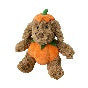 Pumpkin Dog
