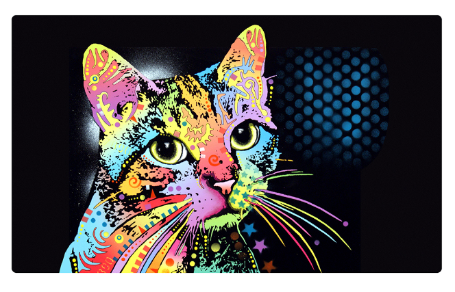 Drymate CAT PLACE MATS with a colorful cat graphic