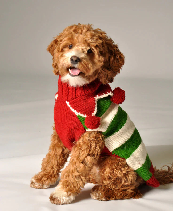 Brown dog wearing a red, green, and white striped sweater with pom-poms
