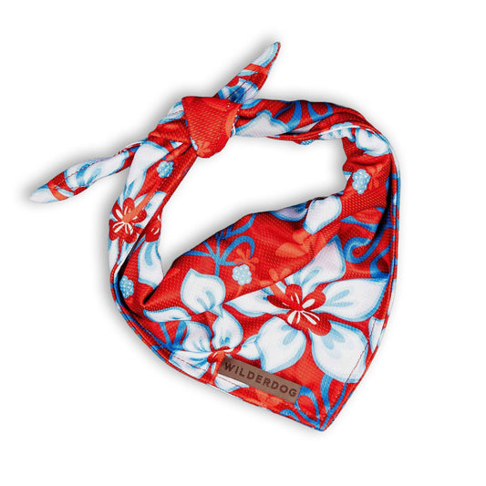 Cooling Bandana