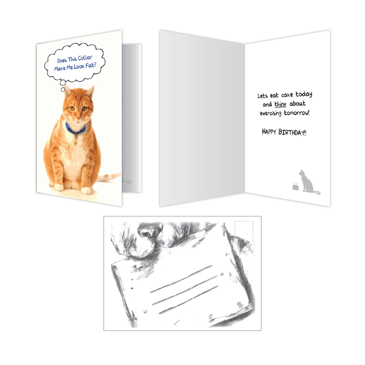 Orange cat wearing a blue collar with a thought bubble saying Does This Collar Make Me Look Fat