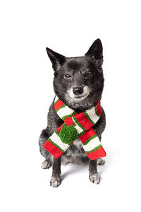 Black dog wearing a Chilly Dog Christmas scarf with red white and green stripes and a green pom pom