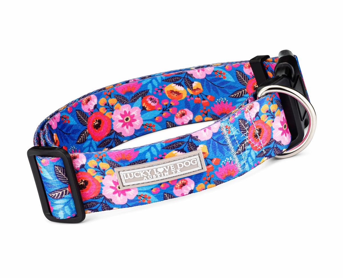 Zuzu Wide Collar