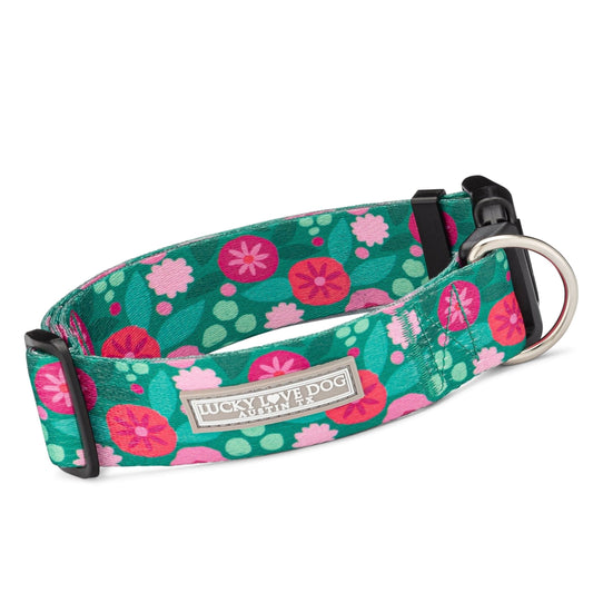 Penny Wide Collar