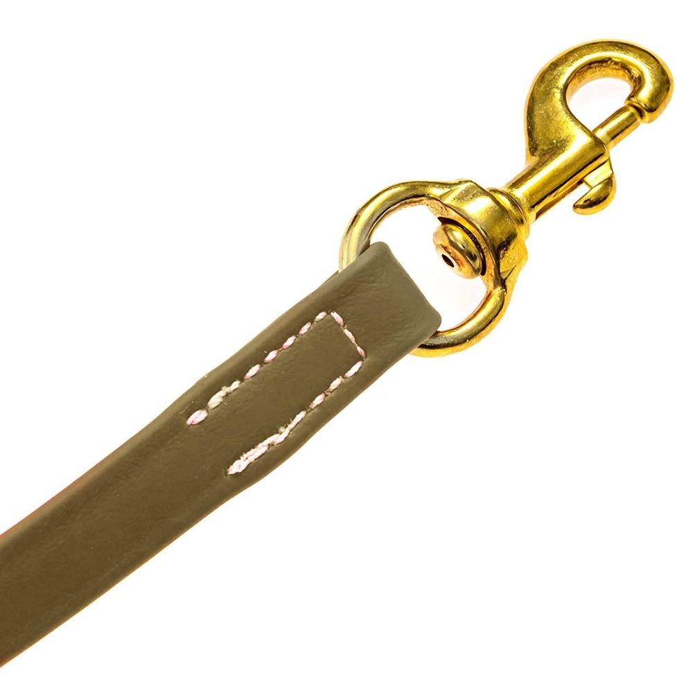 Viper Long Line 10 ft Biothane Dog Lead