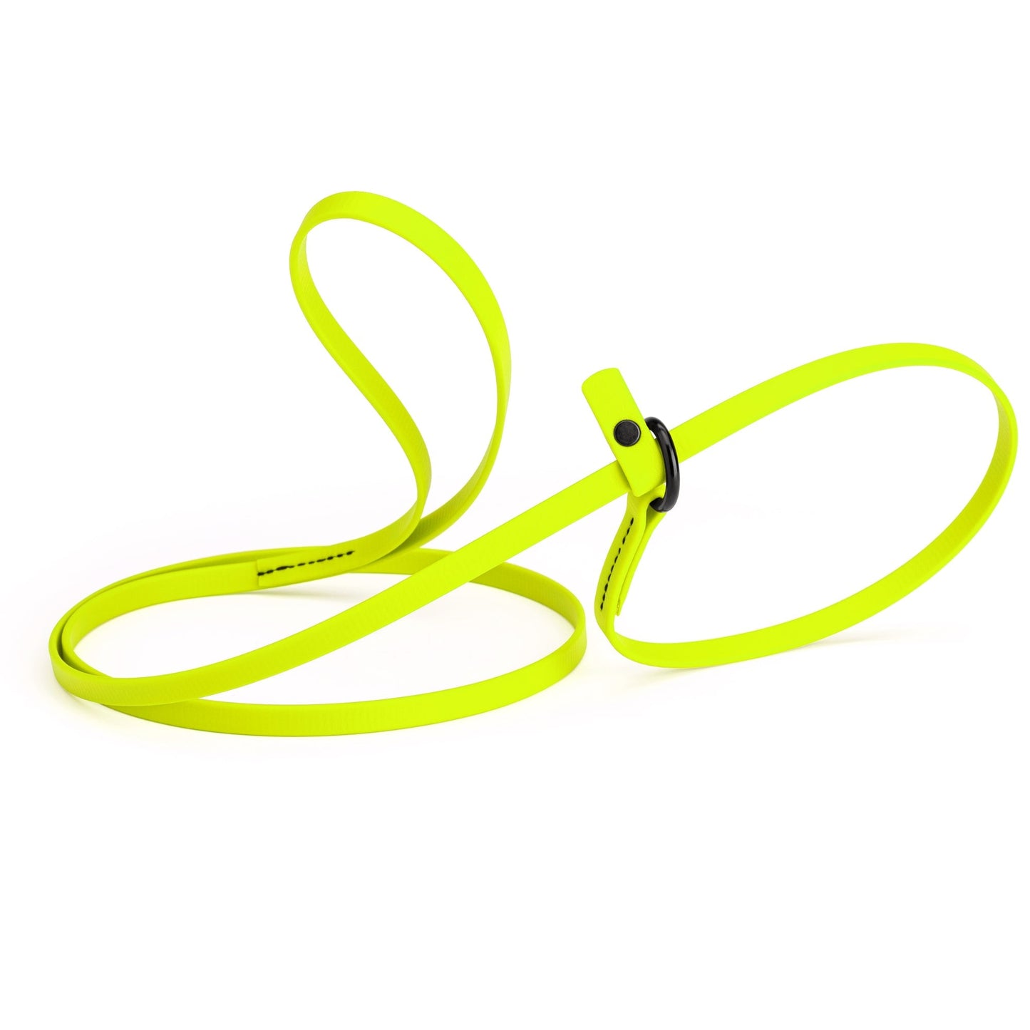 Biothane Dog Slip Lead