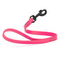 Biothane Waterproof Traffic Lead 2 ft