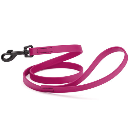 Biothane Waterproof Dog Leash 6 ft