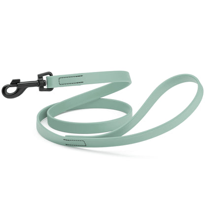 Biothane Waterproof Dog Leash 6 ft