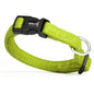 Comfort Microfiber Flat Dog Collar