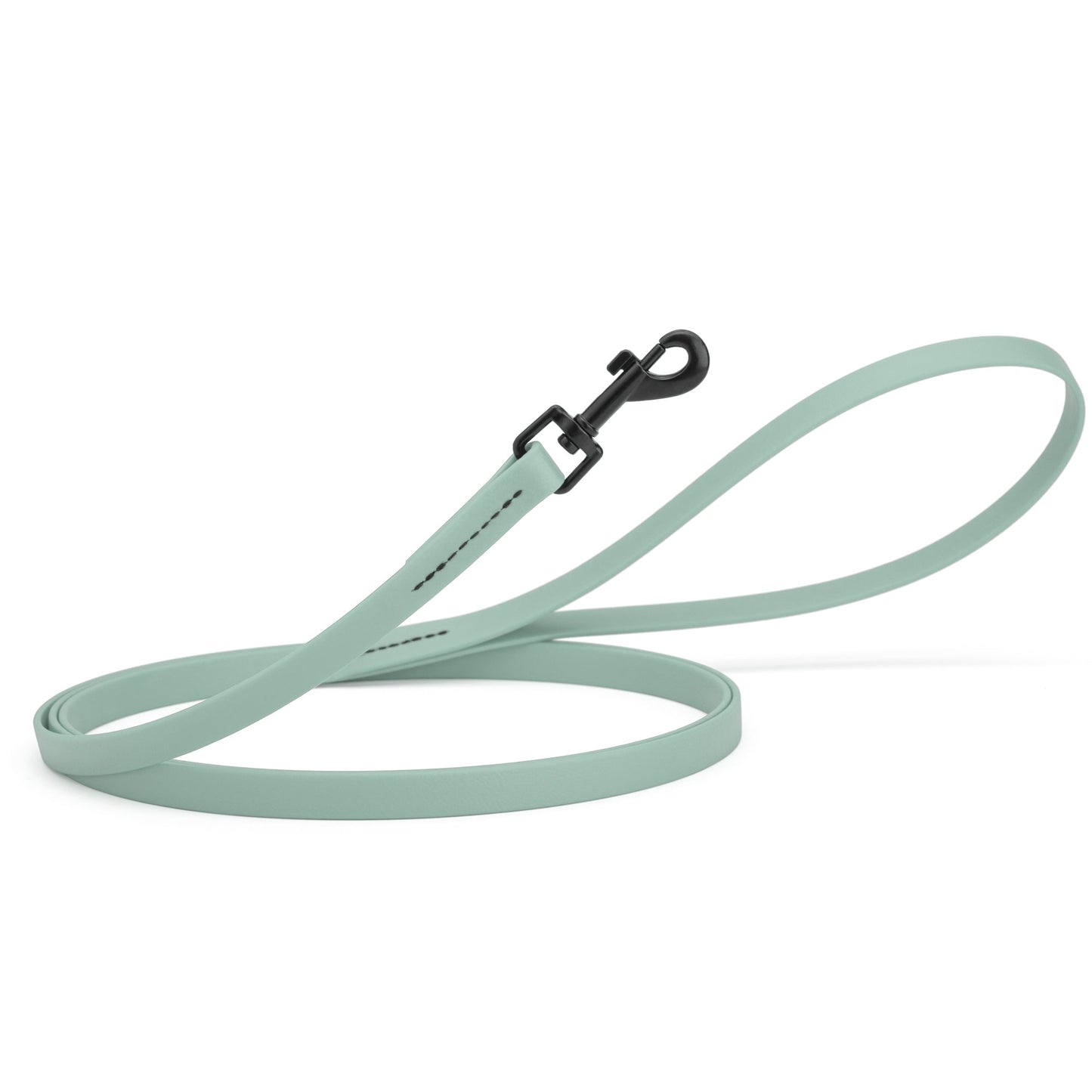 Biothane Waterproof Dog Leash 6 ft