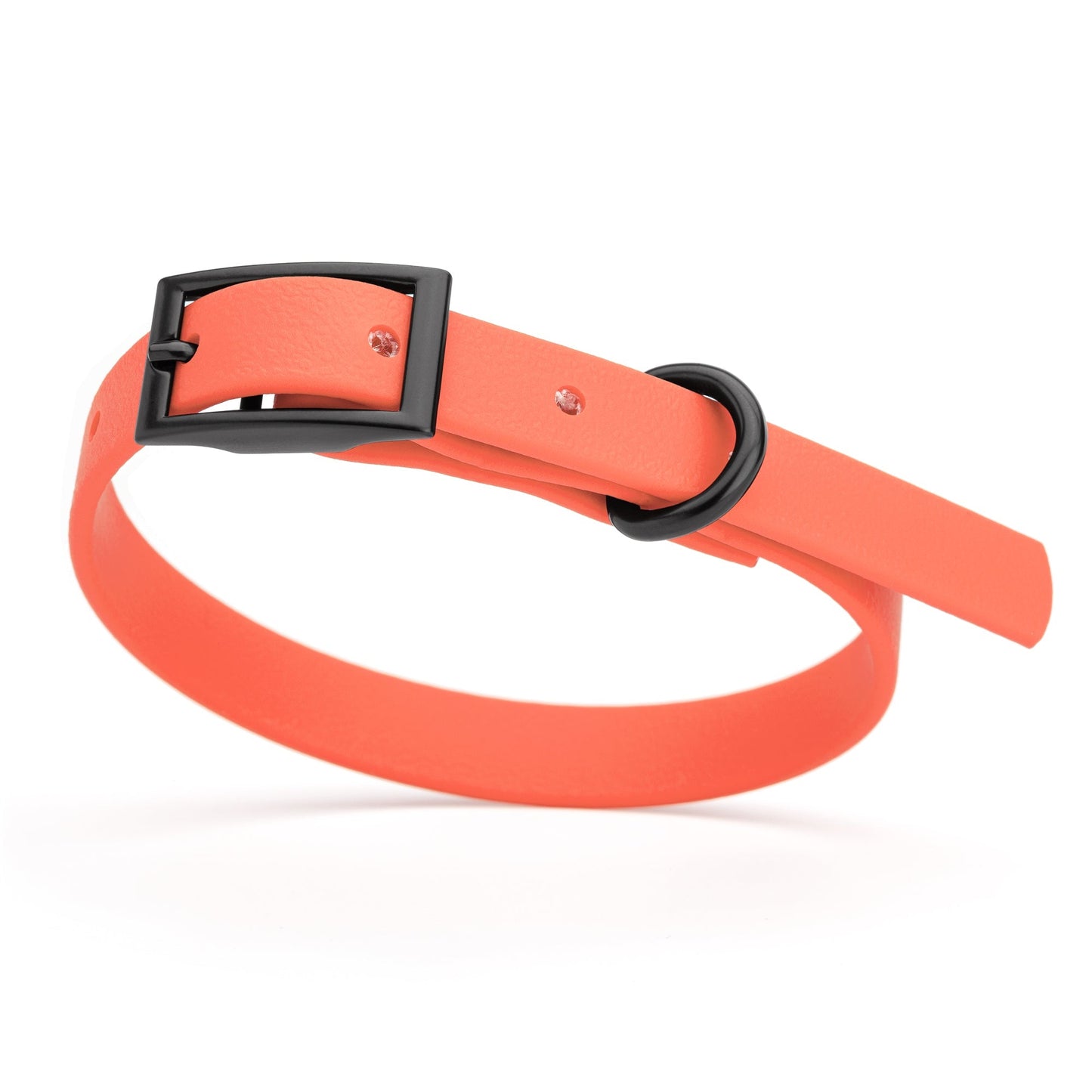 Biothane Waterproof Dog Collar - XS (9 to 12 inches)