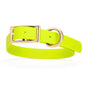 Viper Biothane Waterproof Collar - Brass Hardware - Size L (18 to 22 inches)