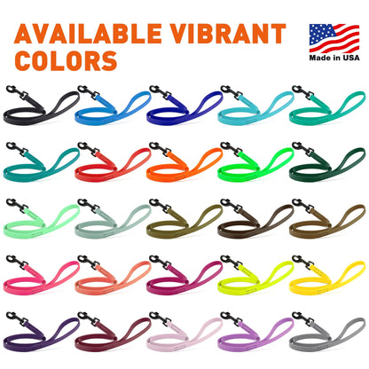 Biothane Waterproof Dog Leash 6 ft