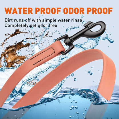 Biothane Waterproof Traffic Lead 2 ft