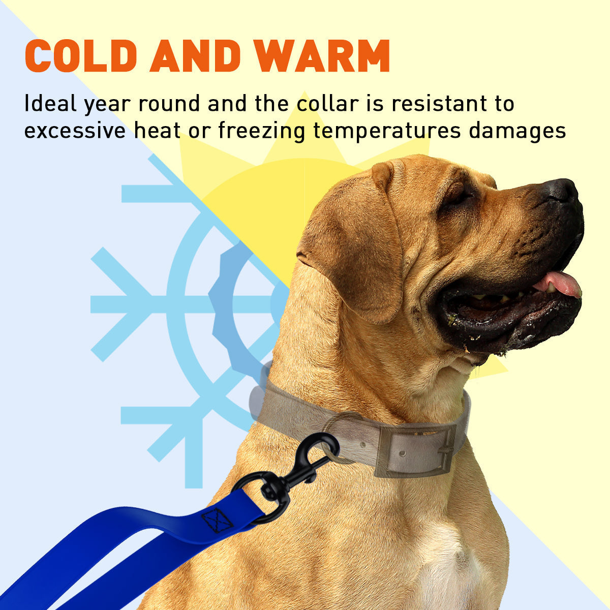 Biothane Waterproof Multi-Handle Dog Leash