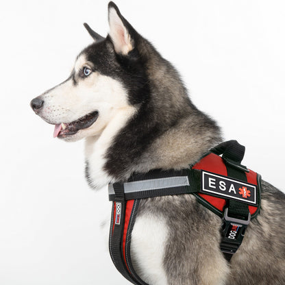 Dogline ESA Dog 3D Rubber Accessories