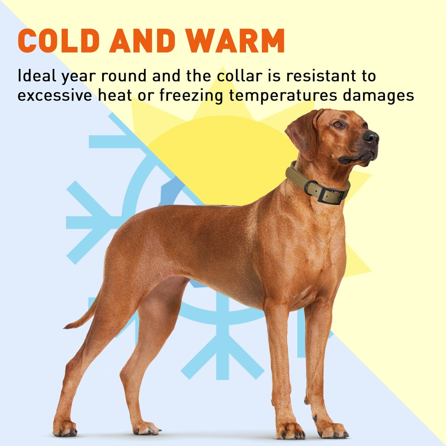 Biothane Waterproof Dog Collar - XS (9 to 12 inches)