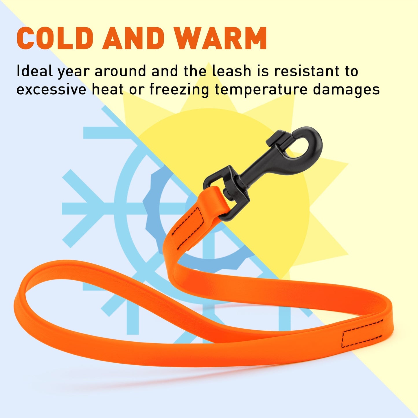 Biothane Waterproof Traffic Lead 2 ft