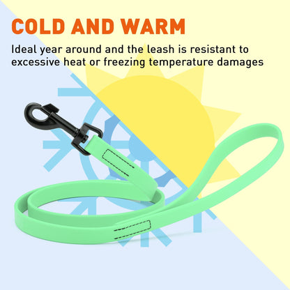 Biothane Waterproof Dog Leash 6 ft